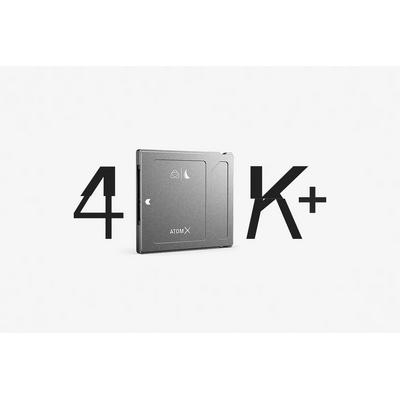 Angelbird AtomX SSDmini (1TB)