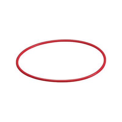 Olympus POL-058 O-Ring PT-058 için Silikon Conta