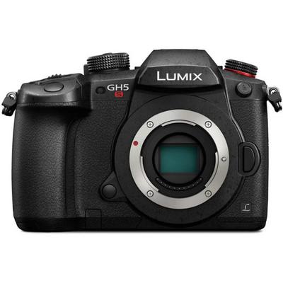 Panasonic Lumix DC-GH5 S Body