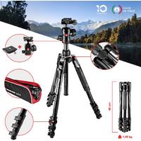 Manfrotto MKBFRLA4BK-BH Befree Advanced Kit