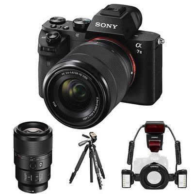 Canon 90d 18 135mm Lens Kit Dentist Dis Hekimi Seti Babatasfoto Com