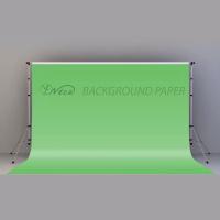 YF Nice Stüdyo Kağıt Fon Spring Green 272x1100 cm