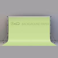 YF Nice Stüdyo Kağıt Fon Tropical Green 272x1100 cm